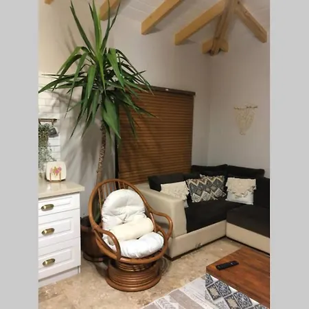 3+1 Mustakil Havuzlu Villa