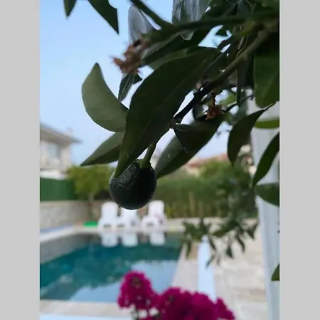 Villa 3+1 Müstakil Havuzlu Fethiye